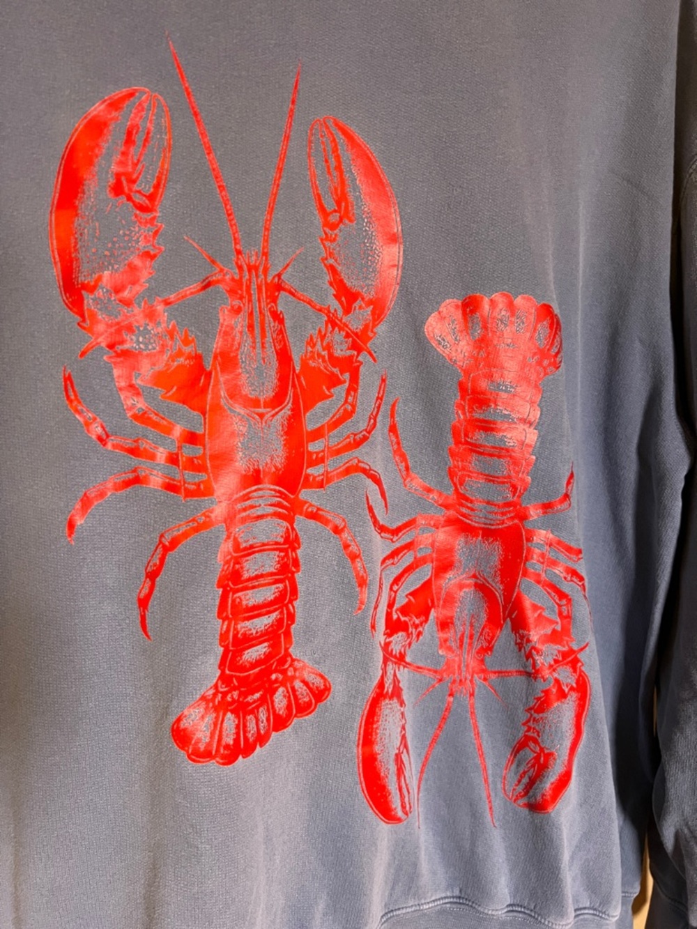 Comfort Colors Distressed Blue Sweatshirt with Red Lobster Print Oversized Fit - Picture 3 of 16